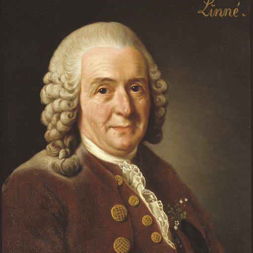 Carl Von Linne